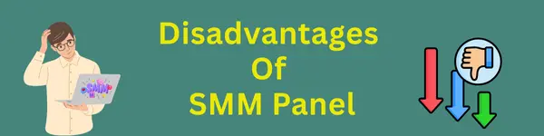 Disadvantages Of SMM Panel