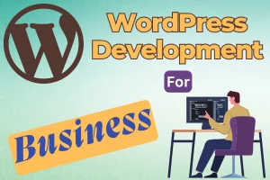 What Is Enterprise WordPress Development?